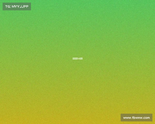 墨尔本港vs休城